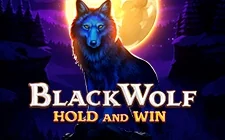 Black Wolf — slot na Winkey Casino