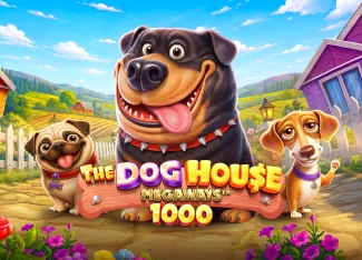 Dragon Hero 1000 — slot na Winkey Casino